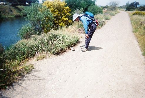 Dinesh admiring a turtle at the side of the trail