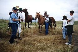 Isn't the Ridge Trail for equestrians too? I think I'll just ride this horse for the rest of the day.