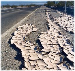 Natural patterns in dry, cracked mud at the side of the road